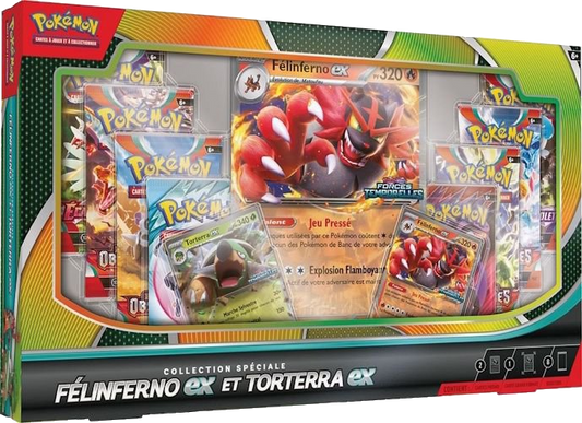 Coffret Felinferno et Torterra ex - FRANCAIS